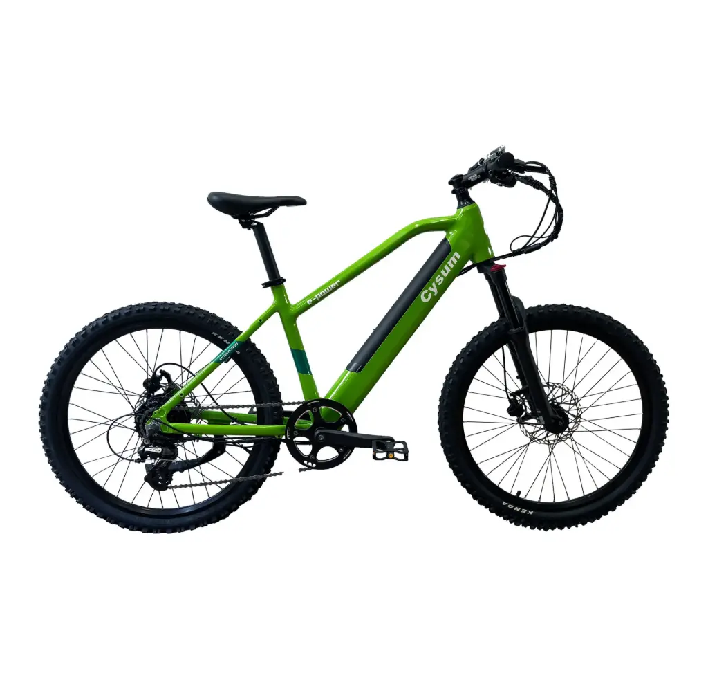 [PR_E-baby] E-bike Bambino